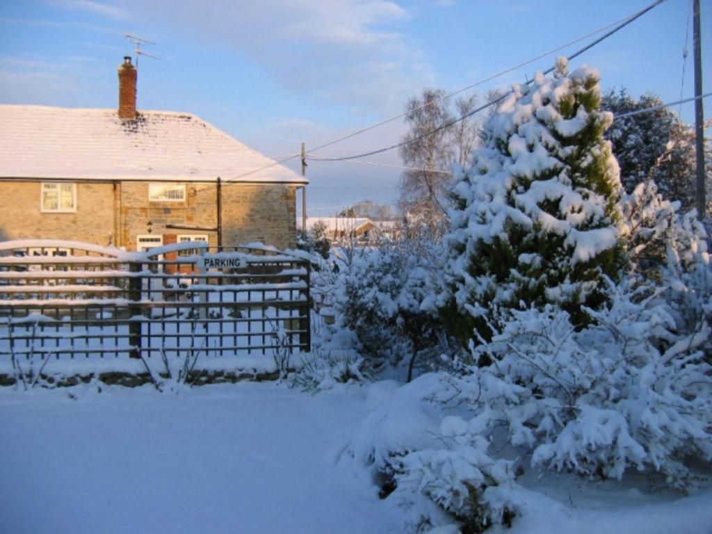 Bed and Breakfast Quiet Woman House Halstock Экстерьер фото