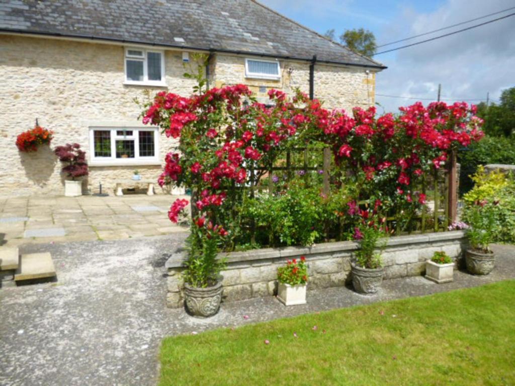 Bed and Breakfast Quiet Woman House Halstock Экстерьер фото